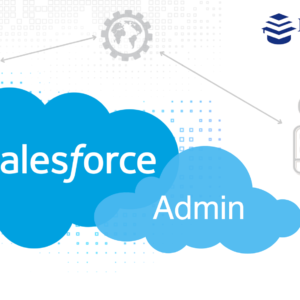 salesforce admin